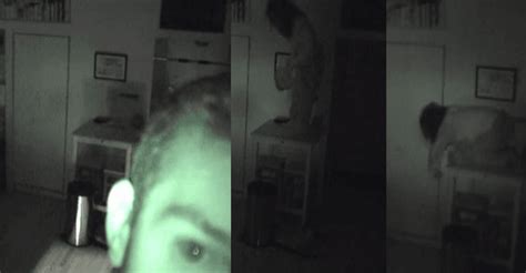 Man Sets Up Hidden Camera After Food Goes Missing And The Footage Is