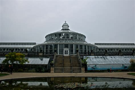 Der hortus medicus diente damals forschungszwecken. Kopenhagen, Botanischer Garten, Palmenhaus Foto & Bild ...