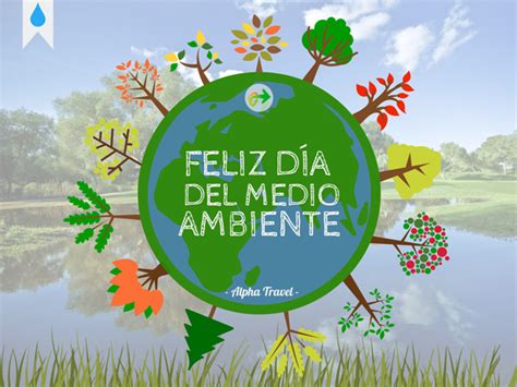 Día mundial del medio ambiente. Imágenes lindas para celebrar este 5 de junio el Día ...