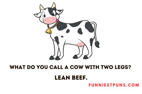 90 Cow Puns And Jokes Moo Ving Jokes Funniest Puns