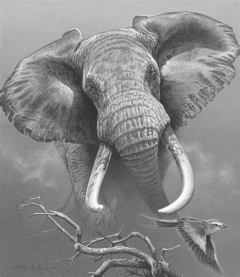 Pin by Kristel Verbuyst on fabrizio caforio Elephant art, Animal