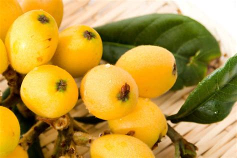 What Does Loquat Taste Like An Easy Guide Food Champs