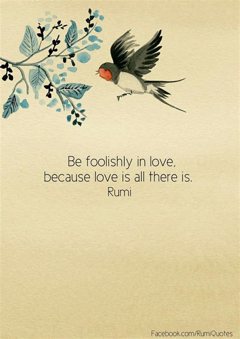 Be Foolish In Love Because Love Is All There Rumi