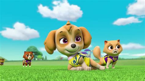 Skye Paw Patrol Skye Paw Patrol Photo 40153989 Fanpop Page 48