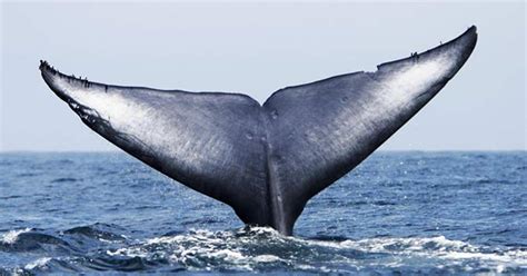 If the price goes down, you can always add more to your position. XRP Whale Movement: USD 2.3 mn Worth of XRP Change Wallets