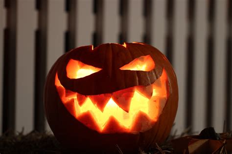 Jack O Lantern Ideas For Halloween Northern Lights And Trees