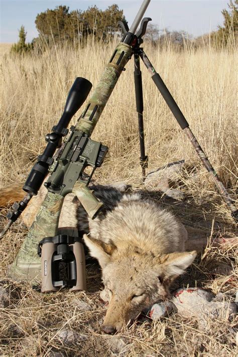 Coyote Hunting Rifles 22 250
