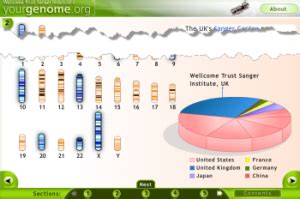 Human genome project history and timeline. Human Genome Project: From Sequencing to Sharing Genomic ...