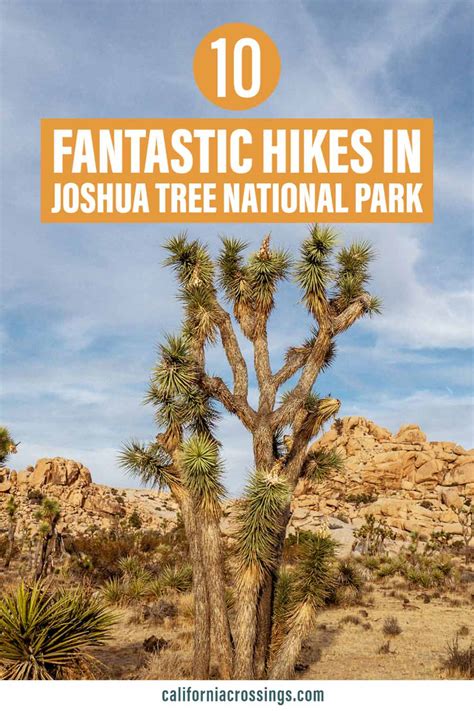The 13 Best Hikes In Joshua Tree National Park