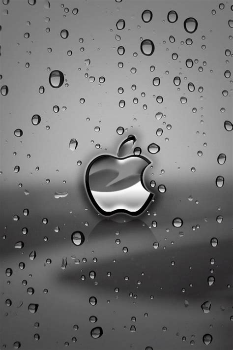Apple Rain Iphone 4s Wallpaper 640x960 Iphone 4s Wallpapers Iphone