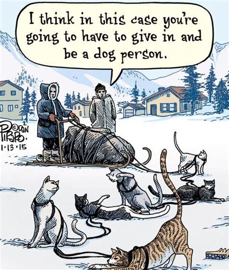 Herding Cats Are You Wisdom Enough