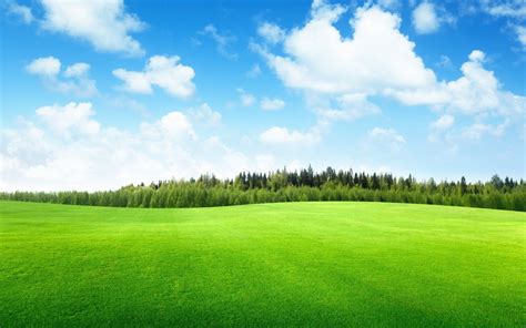 Wallpaper Landscape Nature Grass Sky Field Green Horizon