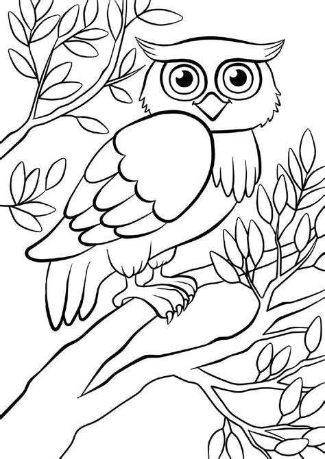 Free Printable Coloring Pages Of Owls