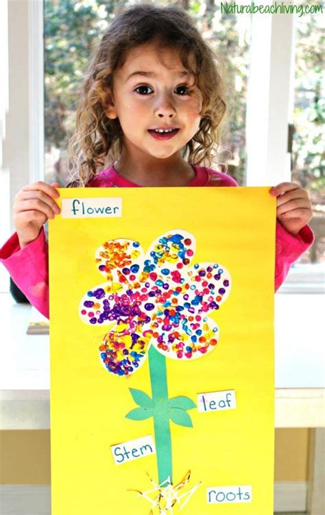 Parts Of A Flower Activity For Preschool