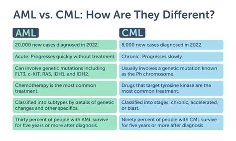 Aml Vs Cml How Are These Leukemia Types Different Myleukemiateam