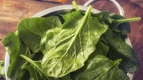 Las Mejores Ensaladas Verdes Para Cuidarte Y Comer Rico