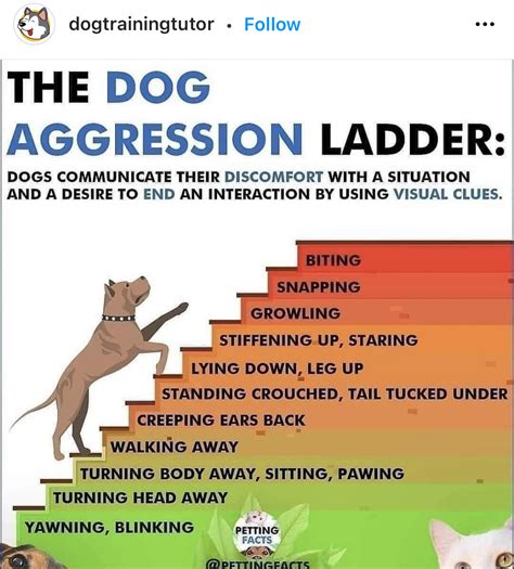Dog Aggression Chart Swipe File