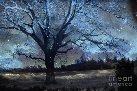 Surreal Fantasy Fairytale Blue Starry Trees Landscape