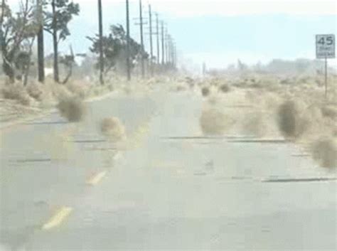 Desert Tumbleweeds GIF Desert Tumbleweeds Road Discover Share GIFs