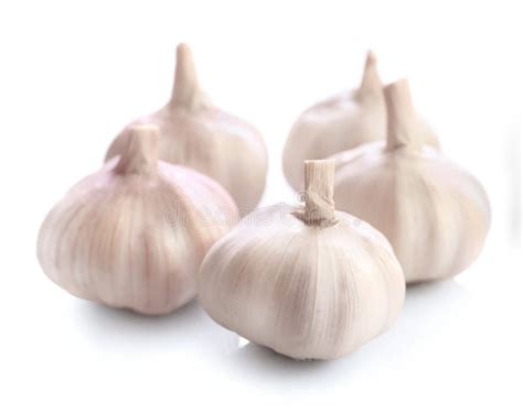 Fresh Whole Garlic Bulbs Stock Image Image Of Vegetable 177606703