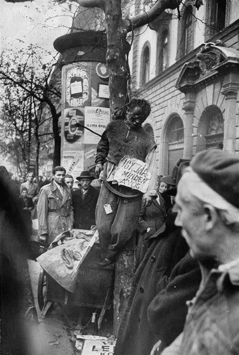 the hungarian revolution of 1956 photos from the streets of budapest