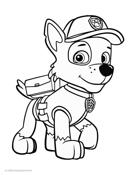 Coloriage Pat Patrouille Avec Modele Beau Stock Coloriage De Rocky à
