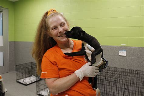 Halfway To A New Home Lawrence Humane Society Is A Crucial Stop For