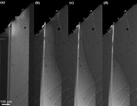 Optical Image Of A Ferroelastic Twin Wall In Laalo3 Attached To The