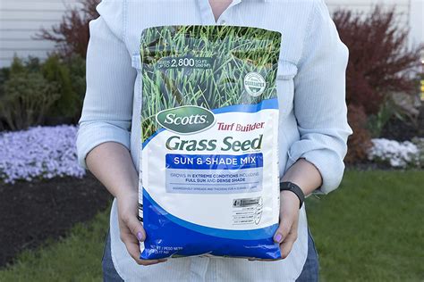 The Best Grass Seed For Michigan Of 2023 Picks From Bob Vila