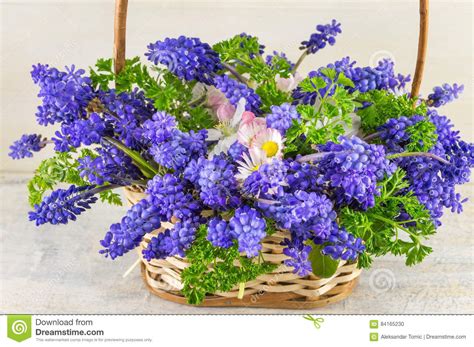 Bluebell Flowers Bouquet In Wicker Basket Stock Photo Image Of