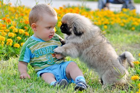 Funny Kid And Animal Pictures Part 3 Amazing Creatures
