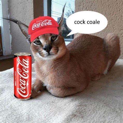 Coca Coler Big Floppa Know Your Meme