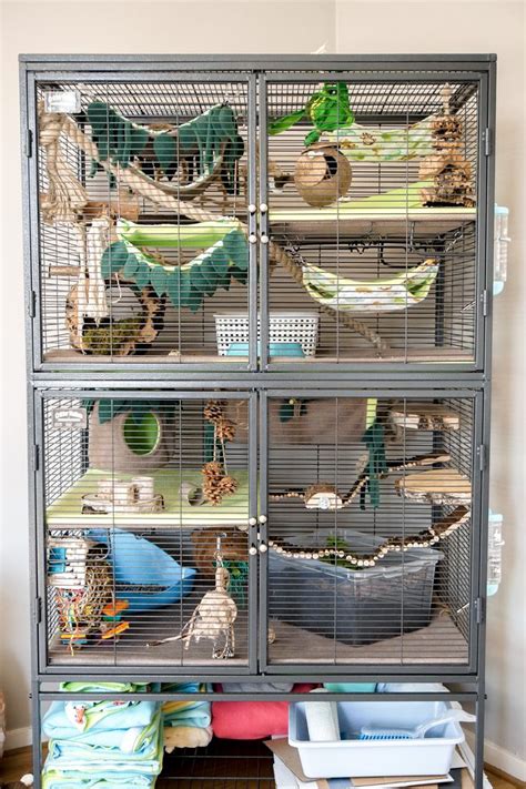 Pet Rat Cage Ideas Cage Glider Sugar Rat Cages Pet Gliders Toys