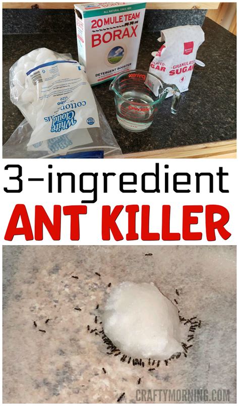 Do It Yourself Ant Repellent Homemade Ant Killer With Boric Acid
