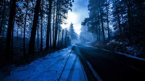 Forest Snowy Dark Evening 4k 1558220809