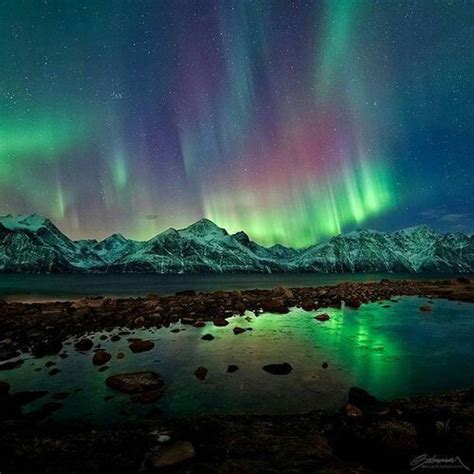 Pin By Bryon Farrant On Aurora Borealisnorthern Lights Northern