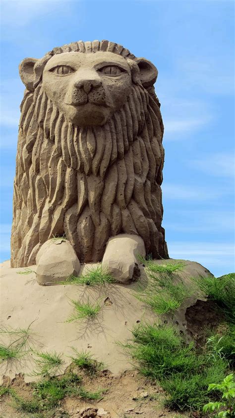 lion sand sculpture art material sandworld sand picture artwork statue sculpture sky
