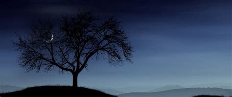 Download Wallpaper 2560x1080 Tree Night Lonely Silhouette Stars
