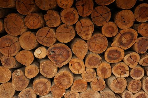 A Pile Of Natural Wooden Logs Stock Photo Image Of Bark Natural