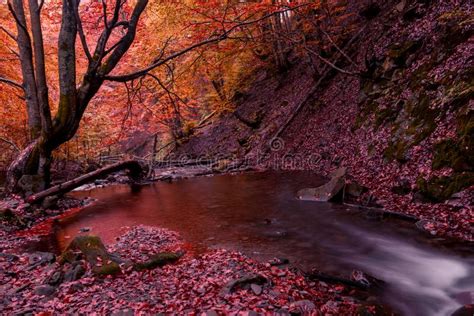 Small Creek Waterfall In A Beautiful Deciduous Autumn Forest Bright