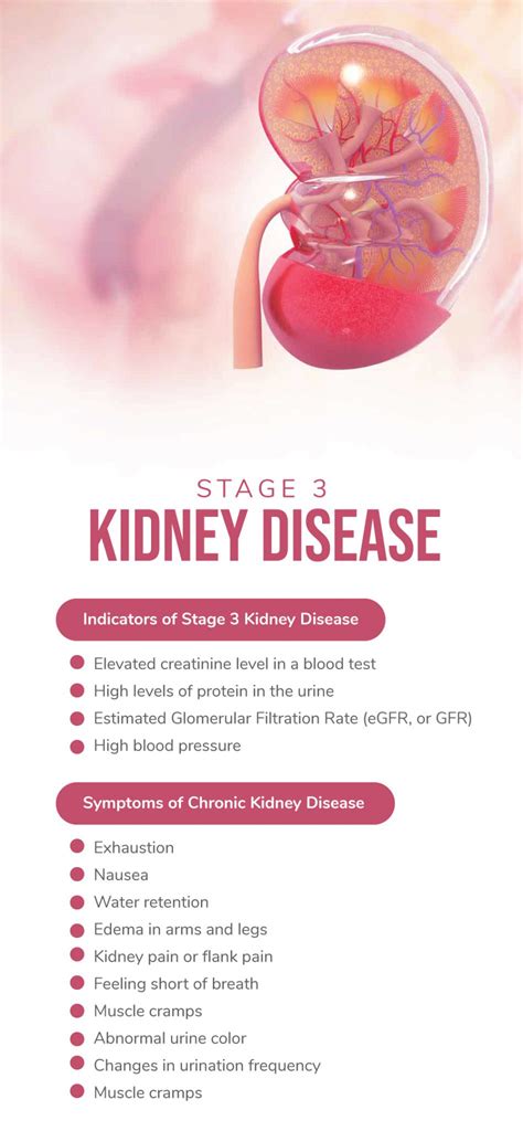 Can Stage 3 Kidney Disease Be Reversed Fatty Liver Disease