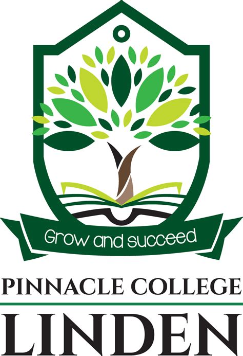 Pinnacle College Linden About Us