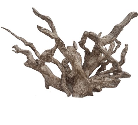 Coral Driftwood Art Png Clipart Large Size Png Image Pikpng