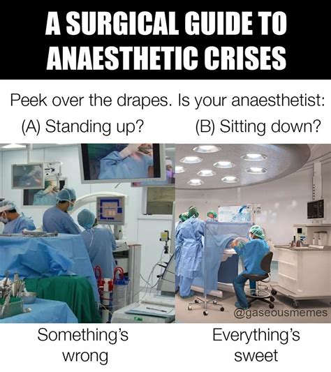 Top 121 Anesthesia Funny Anesthesia Meme