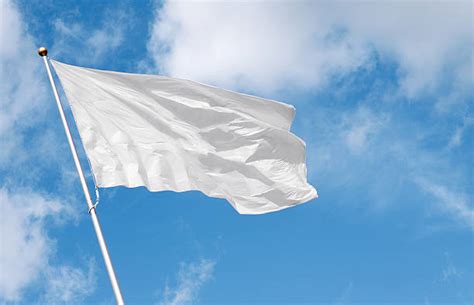 Blank Flag Stock Photos Pictures And Royalty Free Images Istock