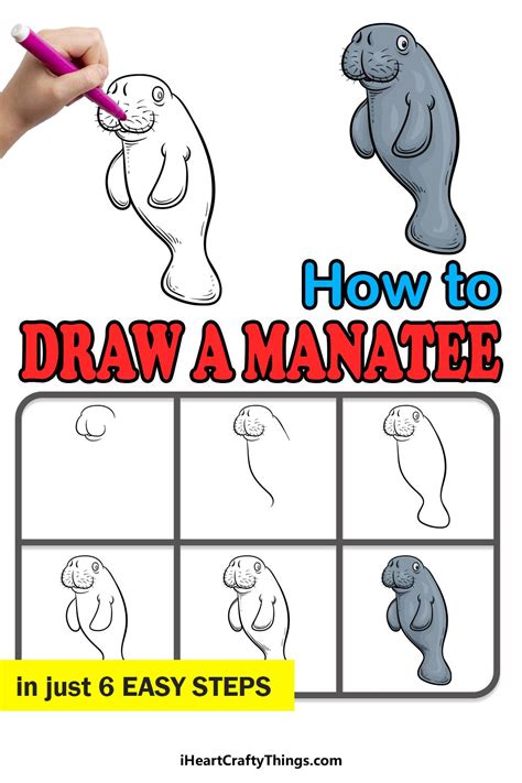 How To Draw A Manatee A Step By Step Guide Artofit