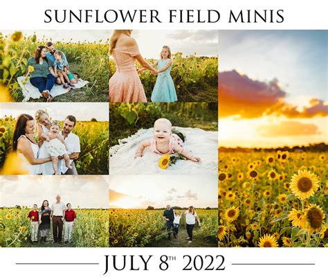 Jb Gallery 2022 Sunflower Mini Sessions Fl Portrait Photographer