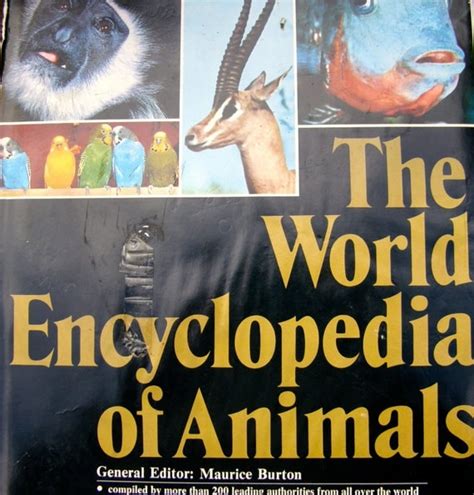 1972 The World Encyclopedia Of Animals By Retrohomeandhardware