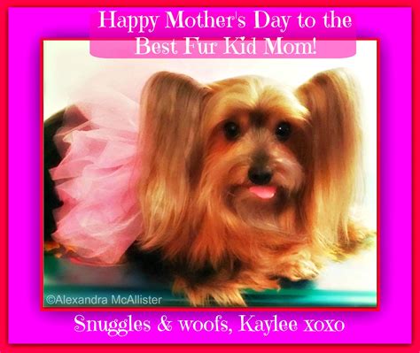 Kaylee Wishing All The Wonderful Fur Kid Moms A Happy Mothers Day