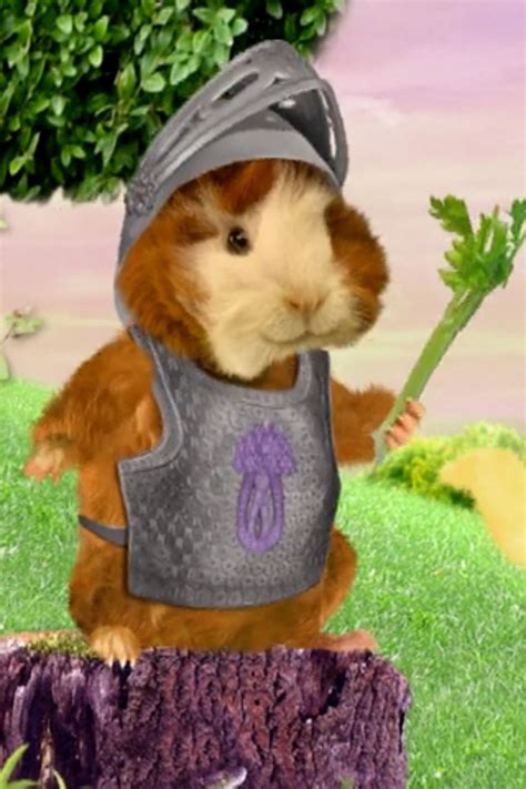 Watch The Wonder Pets S2e21 Save The Griffin Save The Rooster